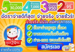 วันนี้รวยcat888