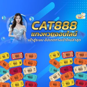 cat888
